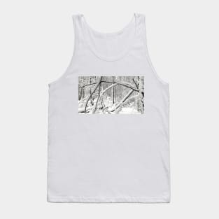 Snow covered trees in a forest after a winter snowstorm Tank Top